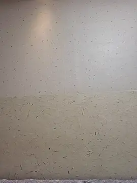 Snapshot of Tyyyggjju chatting on 20, 10, 2025 Tyyyggjju online show from 20, 10, 2025