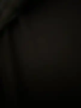 Mo 2003 online show from 12, 2, 2025