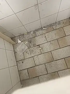 Snapshot of wadmma chatting on 19, 11, 2025 wadmma online show from 19, 11, 2025