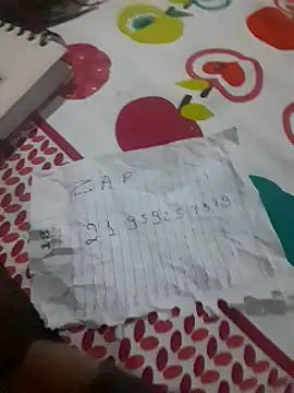 novinhasfda3 online show from 31, 1, 2025