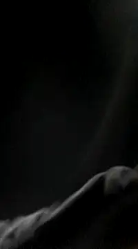 novinhasfda3 online show from 4, 2, 2025