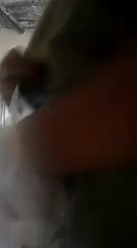 novinhasfda3 online show from 25, 2, 2025