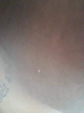 novinhasfda3 online show from 22, 11, 2025