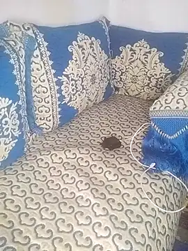 Snapshot of pora-34 chatting on 1, 11, 2025 pora-34 online show from 1, 11, 2025