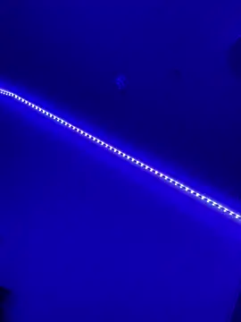 DaniJohnson online show from 7, 2, 2025