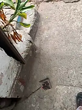 sethgamble000777 online show from 20, 12, 2025