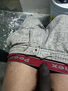 omni 333 online show from 4, 2, 2026