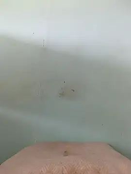 Dracoandr online show from 26, 10, 2025