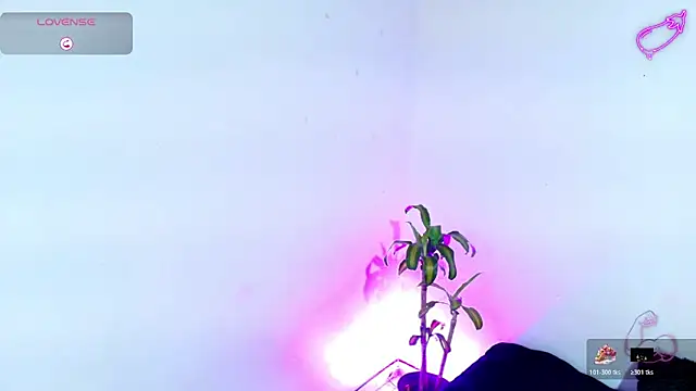 7 Saturno 7 online show from 20, 3, 2026