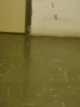 Snapshot of DahGiver chatting on 18, 2, 2025 DahGiver online show from 18, 2, 2025