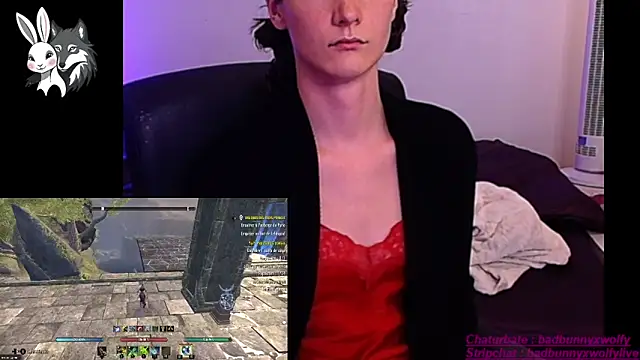 Snapshot of BadBunnyXWolfyLive chatting on 12, 11, 2025 BadBunnyXWolfyLive online show from 12, 11, 2025