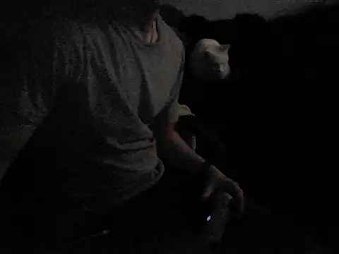 MarioKnero online show from 26, 2, 2026