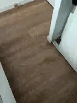 lucas3i online show from 1, 4, 2026