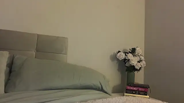 skyejde online show from 17, 11, 2025