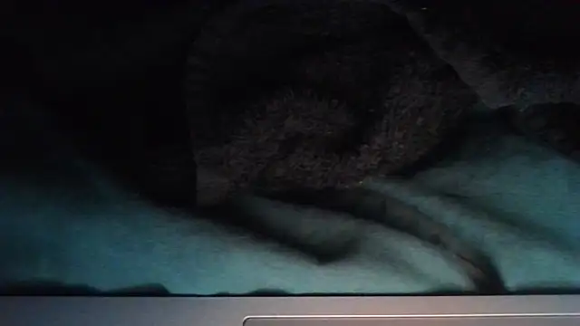 sheiku online show from 11, 10, 2025