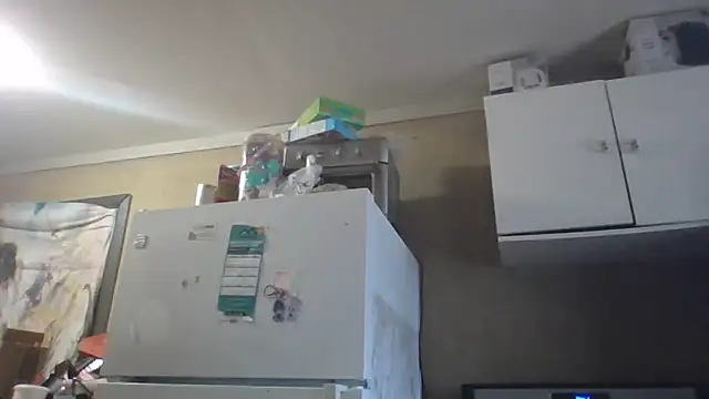 birdg online show from 2, 3, 2026