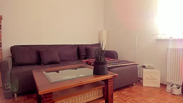 molicaremolicare online show from 6, 11, 2025