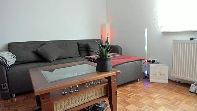 molicaremolicare online show from 28, 11, 2025