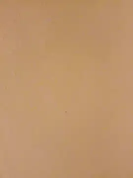 Bigdicklove42x online show from 15, 1, 2026