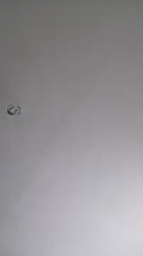 Bigdick420anal online show from 23, 2, 2026