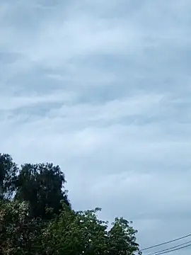 Snapshot of erinadarling79 chatting on 16, 10, 2025 erinadarling79 online show from 16, 10, 2025