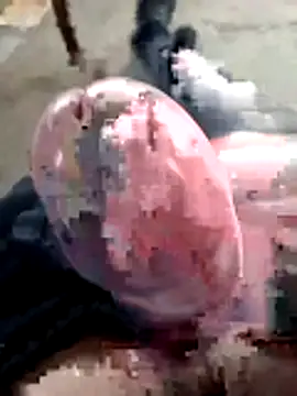 mar4oto1 online show from 14, 3, 2026