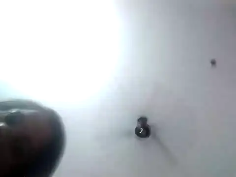 MEENA ROY online show from 21, 2, 2025