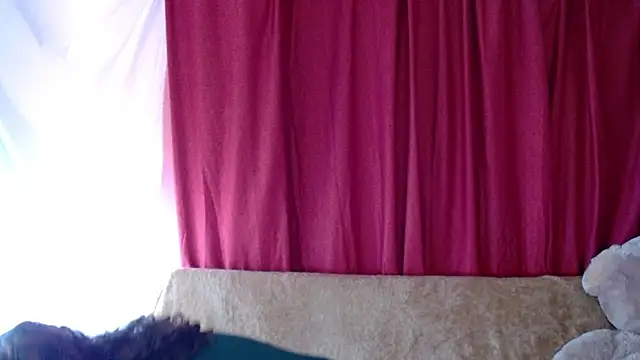 Snapshot of morahaze chatting on 9, 11, 2025 morahaze online show from 9, 11, 2025