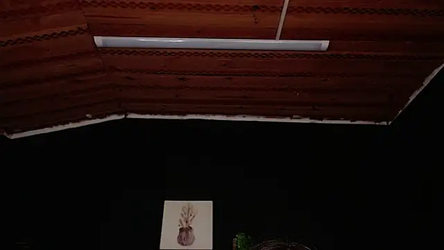 Snapshot of fyreandfox_ chatting on 18, 11, 2025 fyreandfox online show from 18, 11, 2025