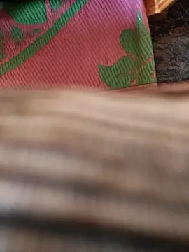 cocktony online show from 13, 1, 2026