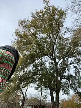 HTXBELLE online show from 16, 12, 2025