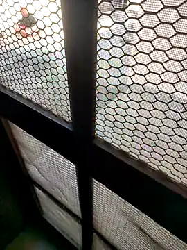 Snapshot of indian_couple4 chatting on 7, 2, 2026 indian couple4 online show from 7, 2, 2026