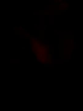 Harald888 999 online show from 28, 2, 2025