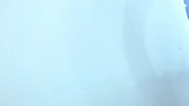 sebastian colle online show from 26, 2, 2025