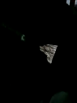 psyb23 online show from 19, 3, 2025