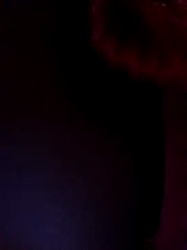 lilpip online show from 21, 3, 2026