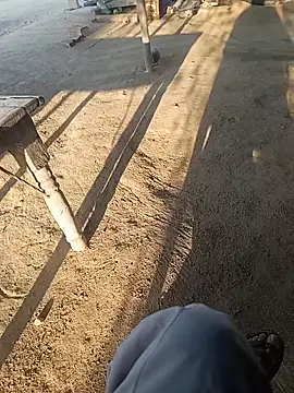 Delhi BoyBigcock online show from 14, 12, 2025