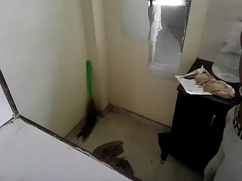 Snapshot of fitbuddy1 chatting on 11, 9, 2025 fitbuddy1 online show from 11, 9, 2025