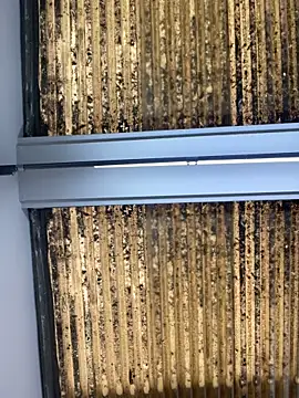 Madisson-Rivas online show from 14, 10, 2025