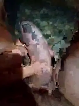 Snapshot of Luis_katya chatting on 10, 2, 2026 Luis katya online show from 10, 2, 2026