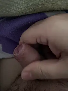 littletoy64 online show from 7, 2, 2026