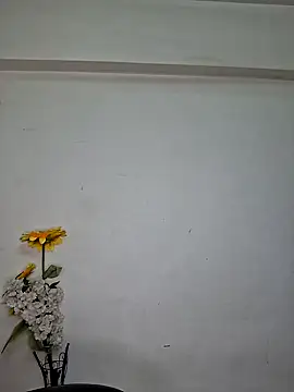 Snapshot of Noor-Bold chatting on 7, 11, 2025 Noor-Bold online show from 7, 11, 2025