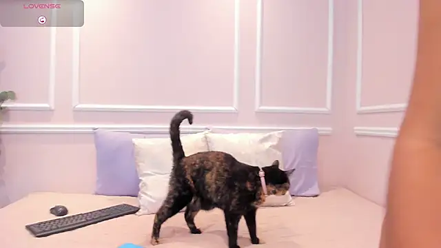 Lucy Canel online show from 31, 1, 2026