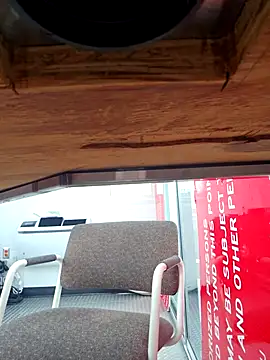 Gotabodiee online show from 29, 10, 2025