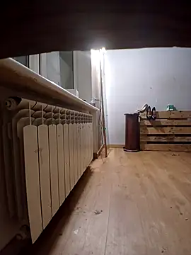 VViolka online show from 26, 3, 2026