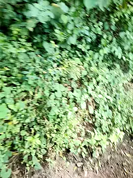 himvilohi08 online show from 2, 10, 2025