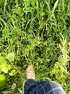 himvilohi08 online show from 11, 10, 2025