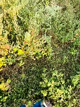 himvilohi08 online show from 4, 12, 2025