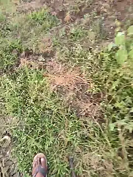 himvilohi08 online show from 16, 3, 2026