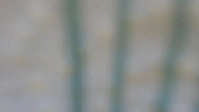 RobertaFox69 online show from 6, 12, 2024